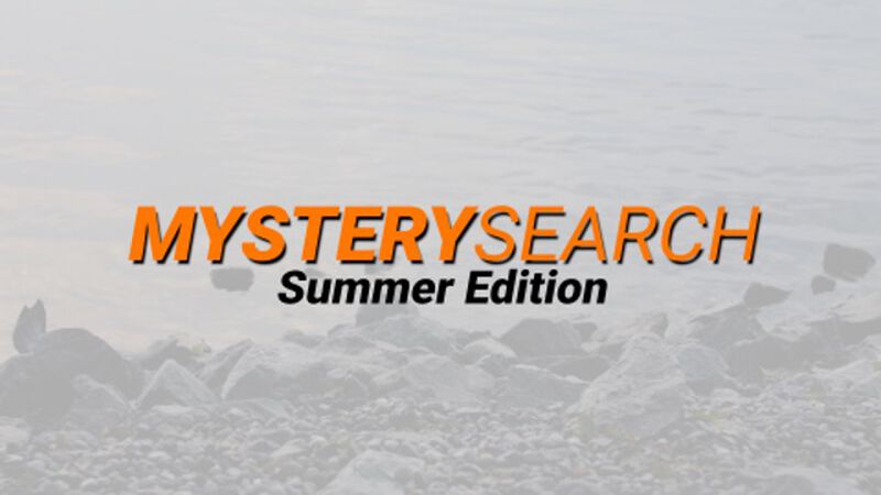 Mystery Search Summer Edition - Game, Social Media & Countdown
